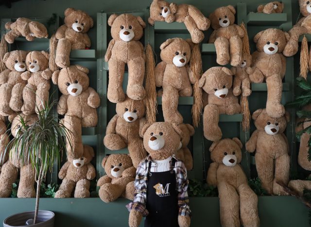 Classic Teddy Bear Collection Showcasing Quality Stuffed Animals